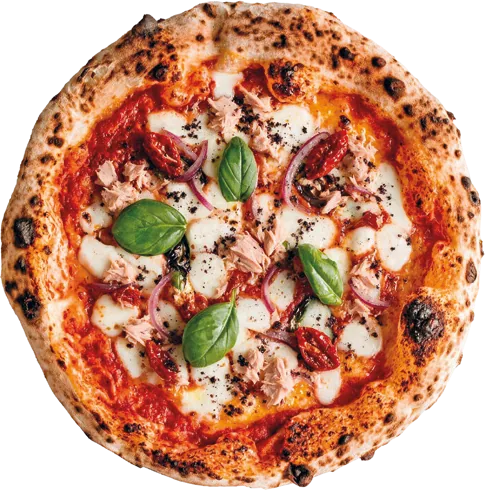 Tuna pizza, top view
